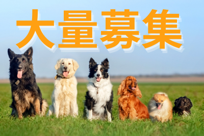 早朝4時間勤務で午後を有効活動！アマゾン倉庫での仕分け作業